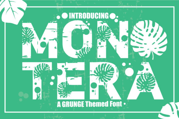 Mon Tera: The Bold Display Typeface for Modern Digital Brands