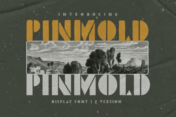 Pinmold: The Bold Display Font for Campaigns That Demand Attention