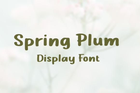 Spring Plum: The Perfect Display Font for Your Brand Identity